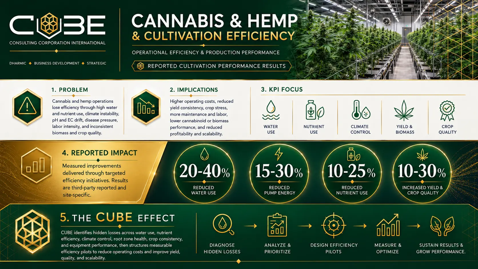 Cannabis and hemp cultivation efficiency infographic