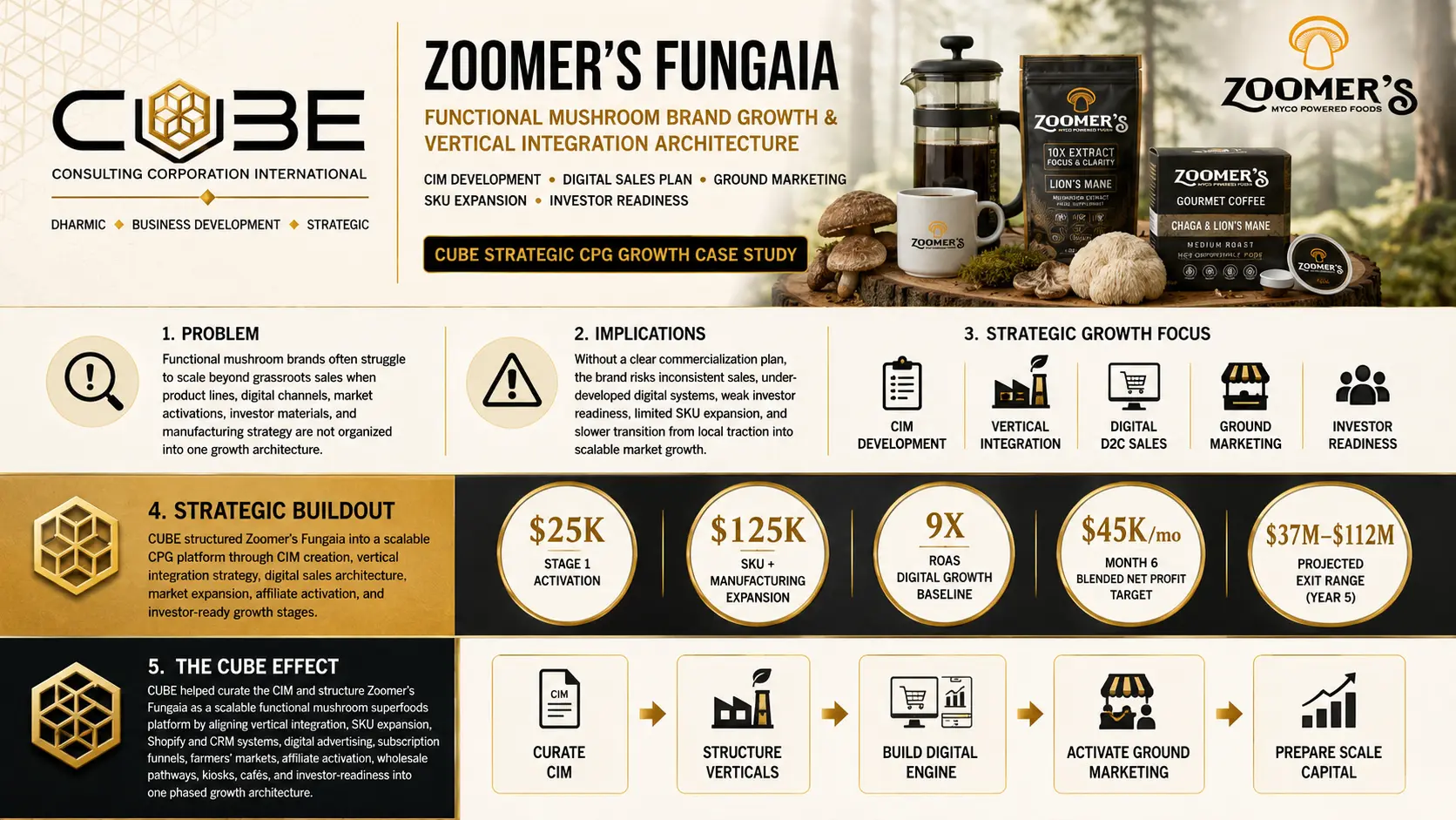Zoomer's Fungaia functional mushroom brand strategy infographic