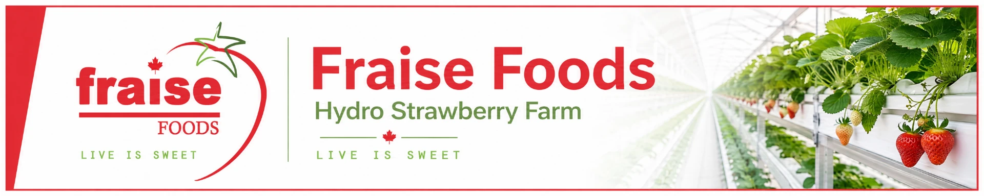 Fraise Foods — Hydro Strawberry Farm banner, Live Is Sweet