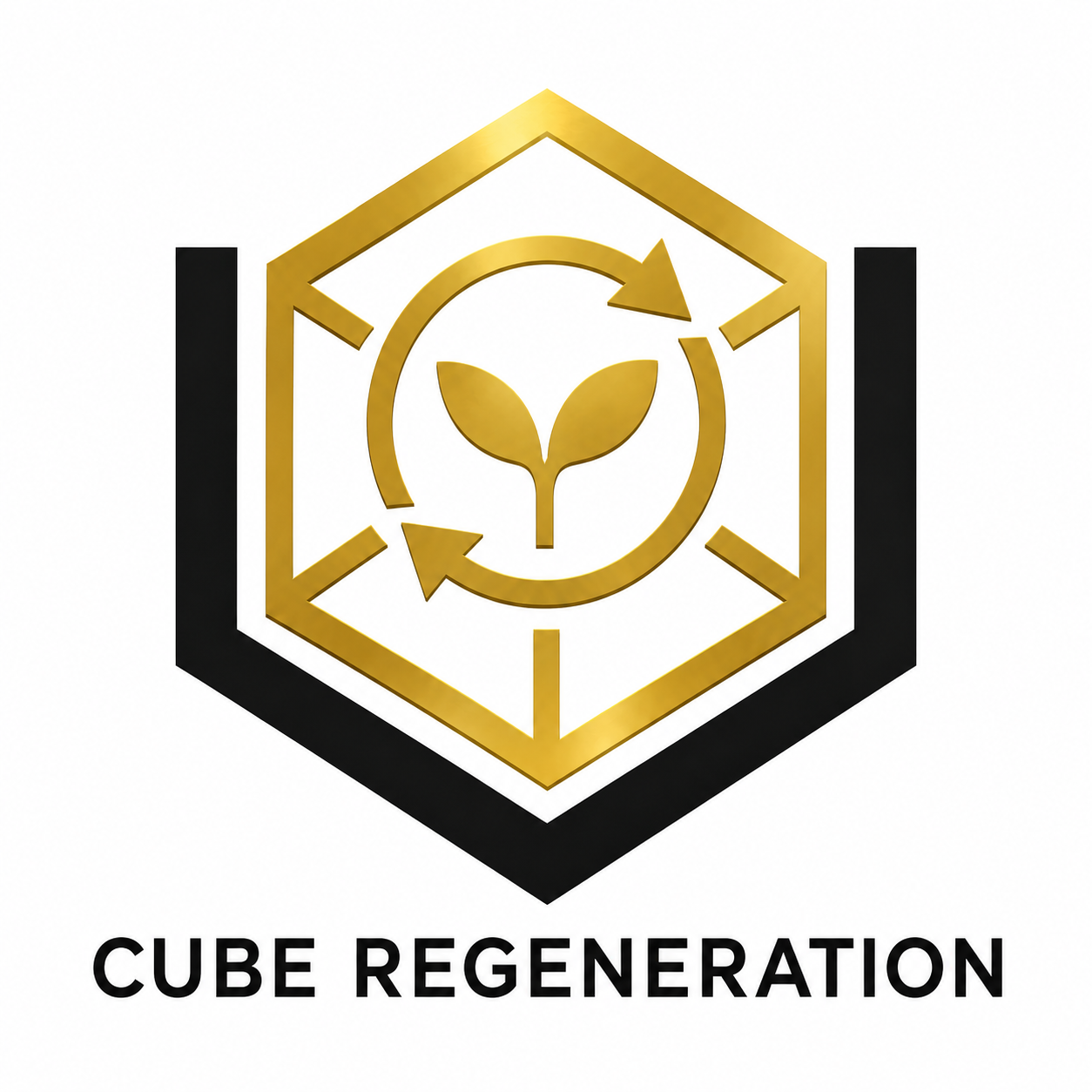 CUBE Regeneration