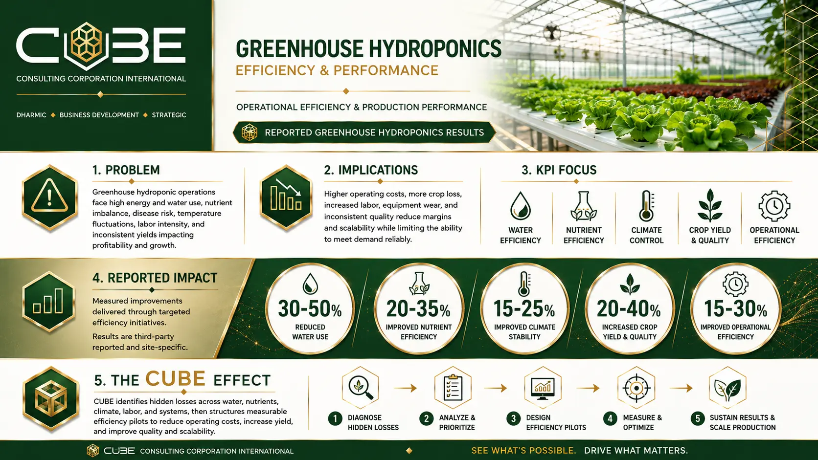 Greenhouse hydroponics efficiency and performance infographic