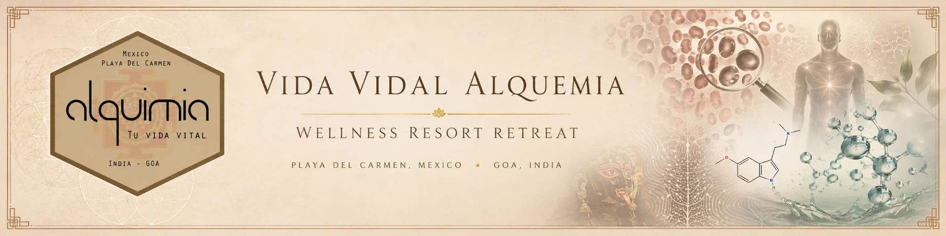 Vida Vidal Alquemia wellness resort retreat banner — Playa del Carmen and Goa