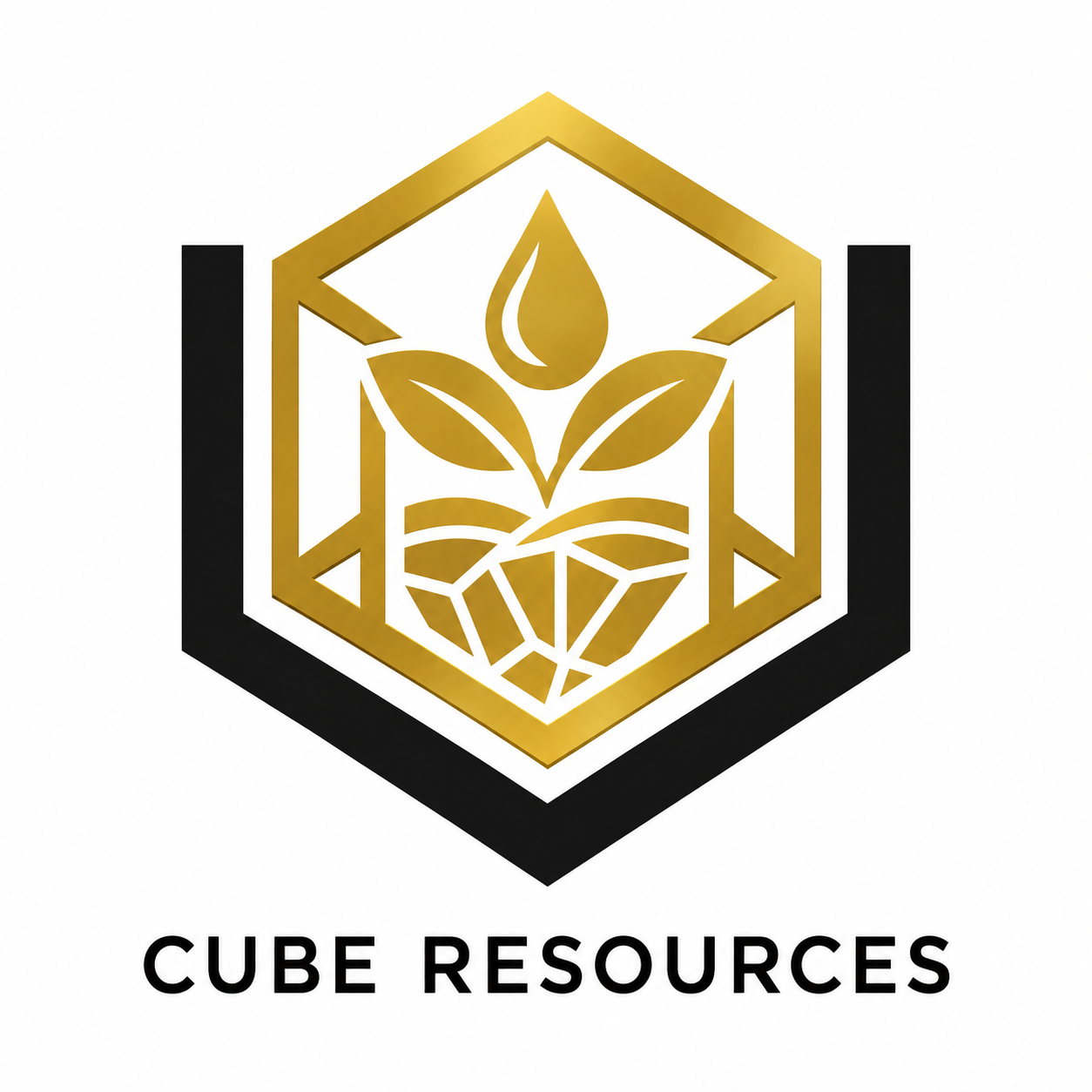 CUBE Resources